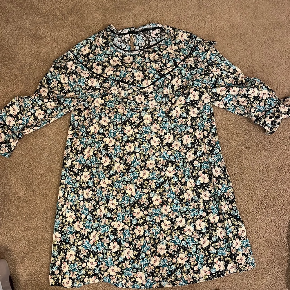 Zara Fall Dress